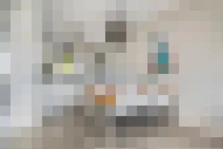 Libellenlaan 54 Son en Breugel thumbnail 9