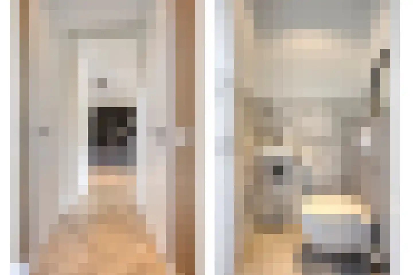 Libellenlaan 69 Son en Breugel thumbnail 10