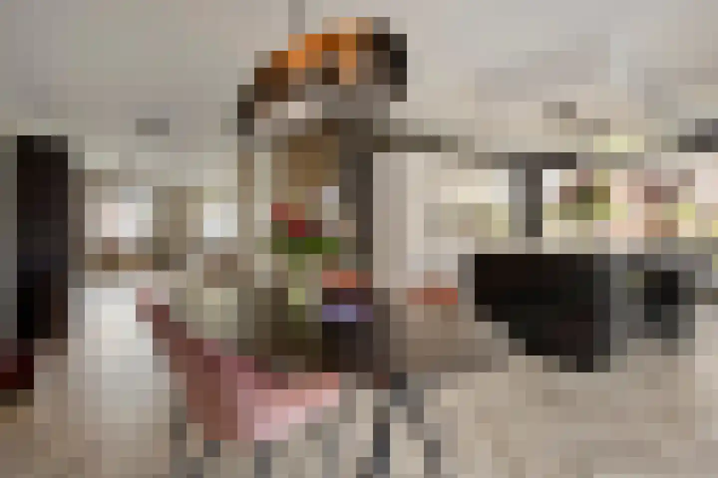 Libellenlaan 69 Son en Breugel thumbnail 15