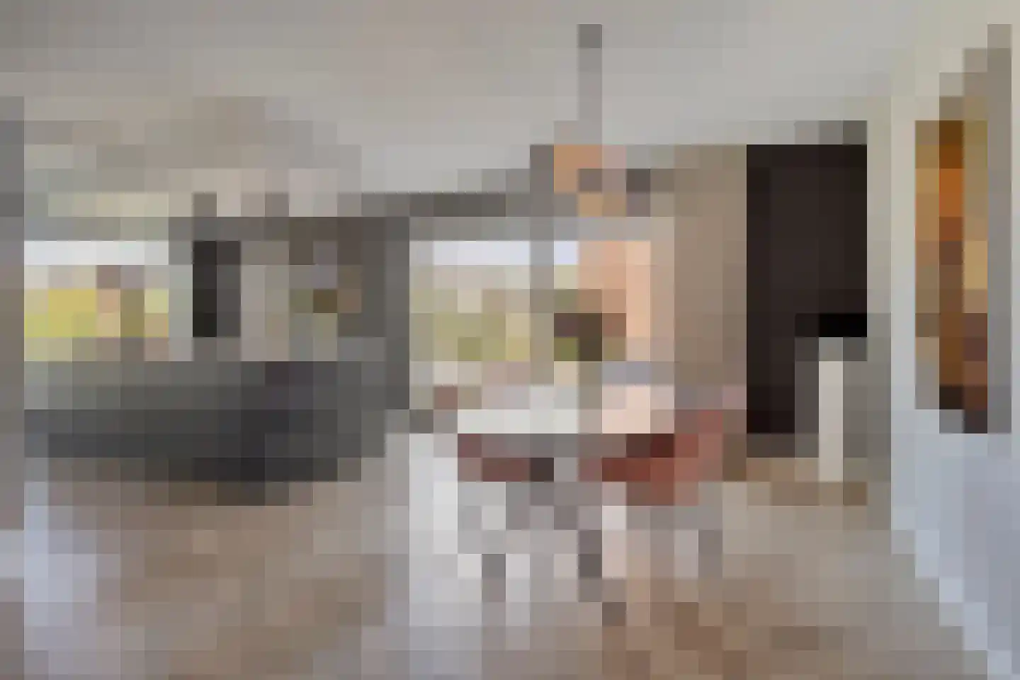 Libellenlaan 69 Son en Breugel thumbnail 16
