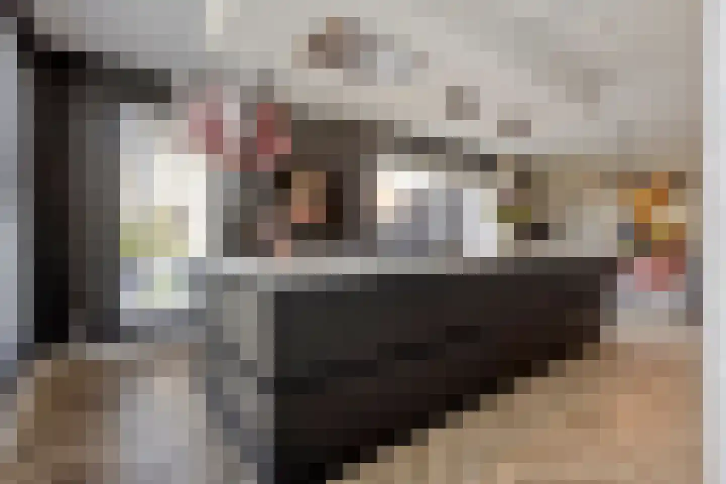 Libellenlaan 69 Son en Breugel thumbnail 18
