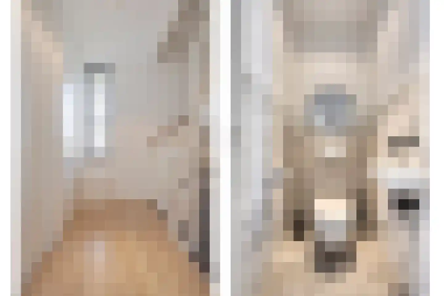 Libellenlaan 69 Son en Breugel thumbnail 35