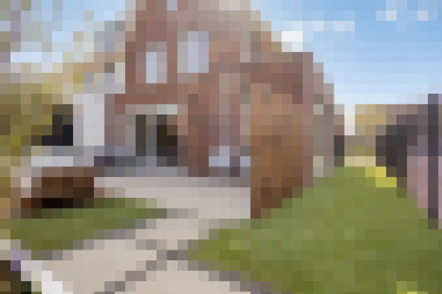 Libellenlaan 69 Son en Breugel thumbnail 5