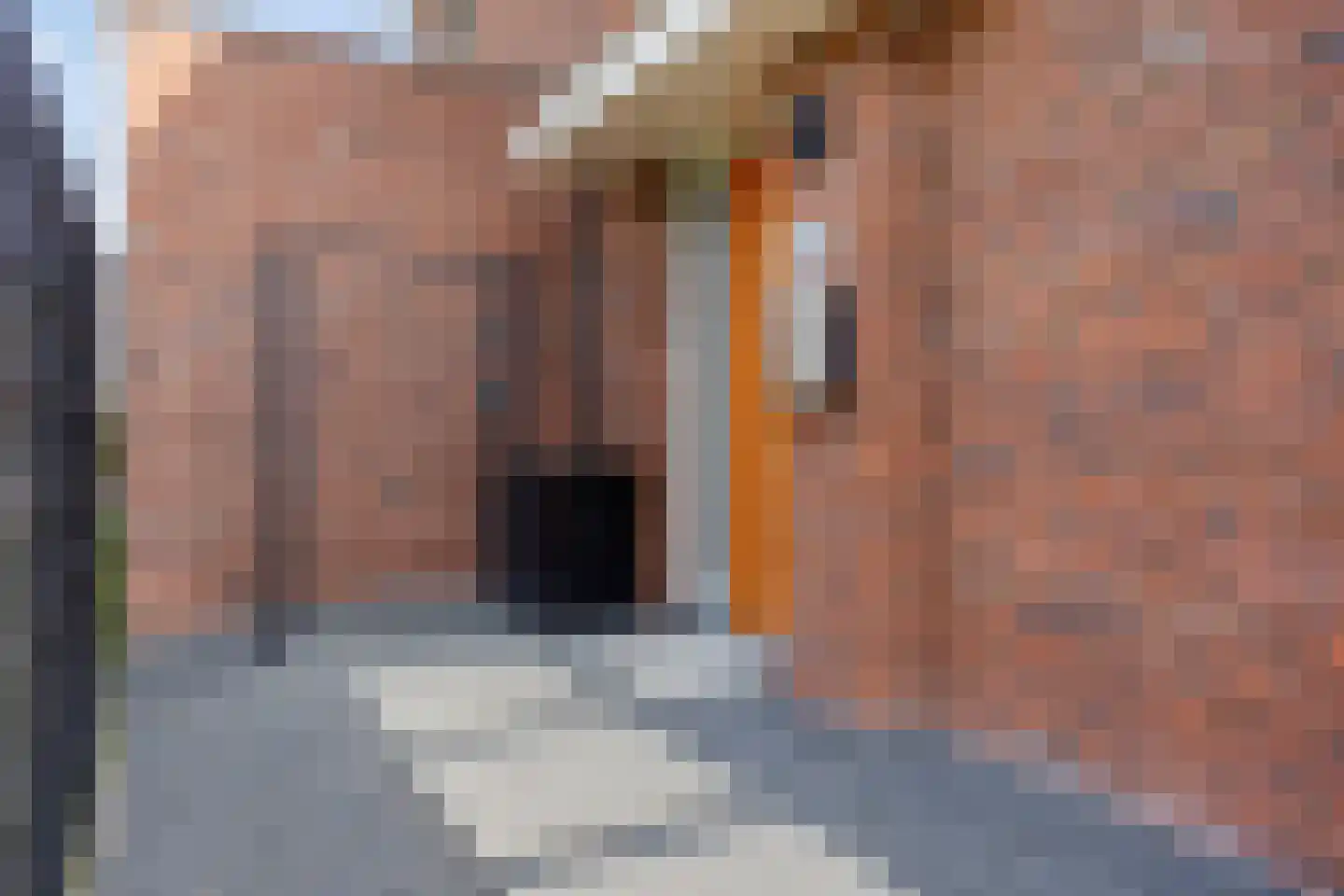 Libellenlaan 69 Son en Breugel thumbnail 51