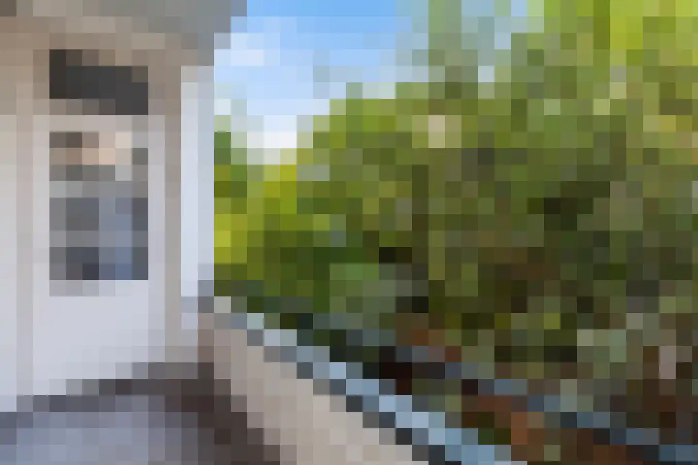 Libellenstraat 16 A 01 Rotterdam thumbnail 16