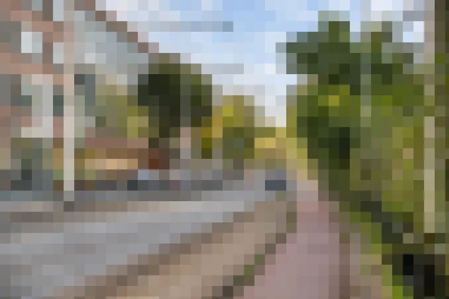 Libellenstraat 32 A 02 Rotterdam thumbnail 36
