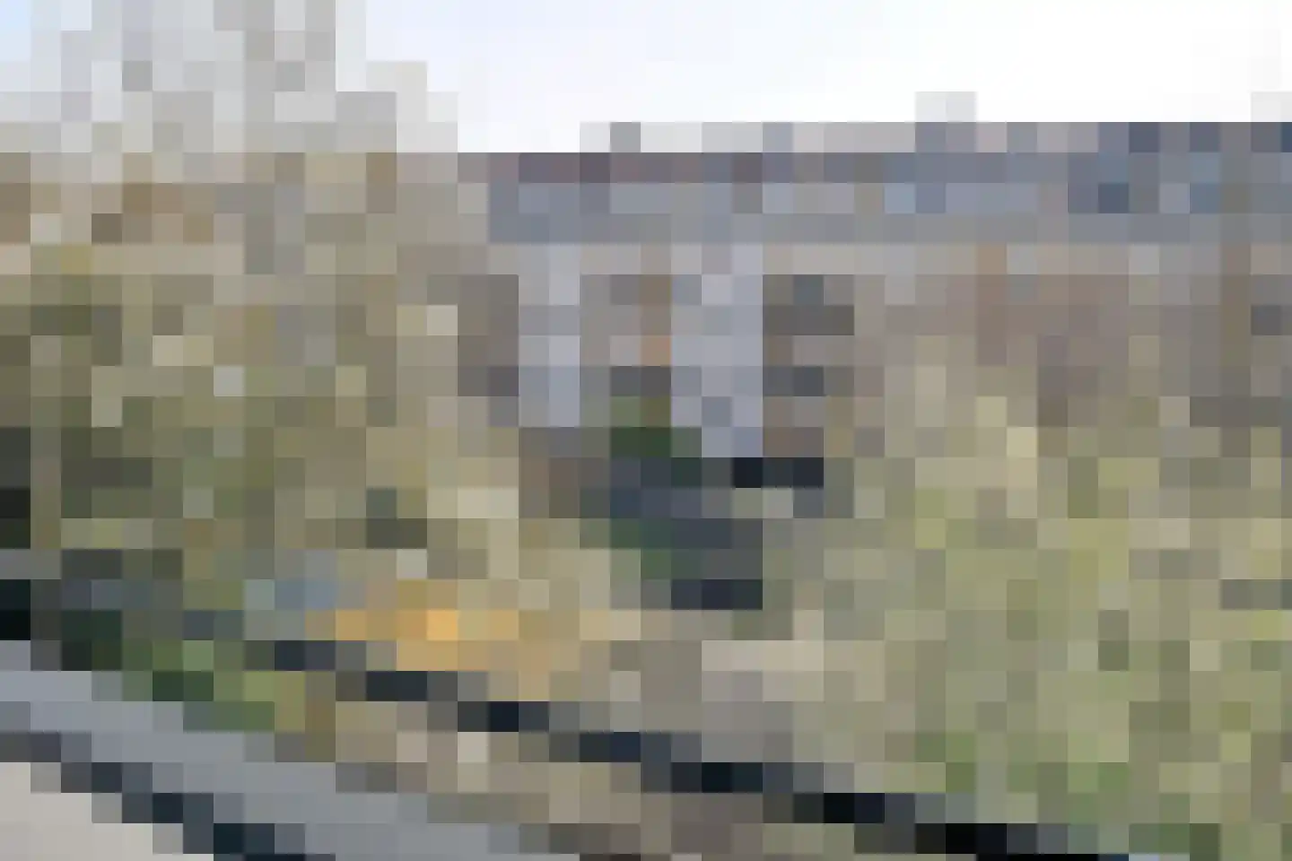 Libellenstraat 36 A 02 Rotterdam thumbnail 8
