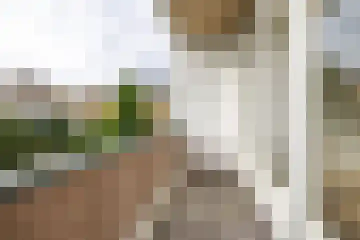 Libellenstraat 40 A 02 Rotterdam thumbnail 6