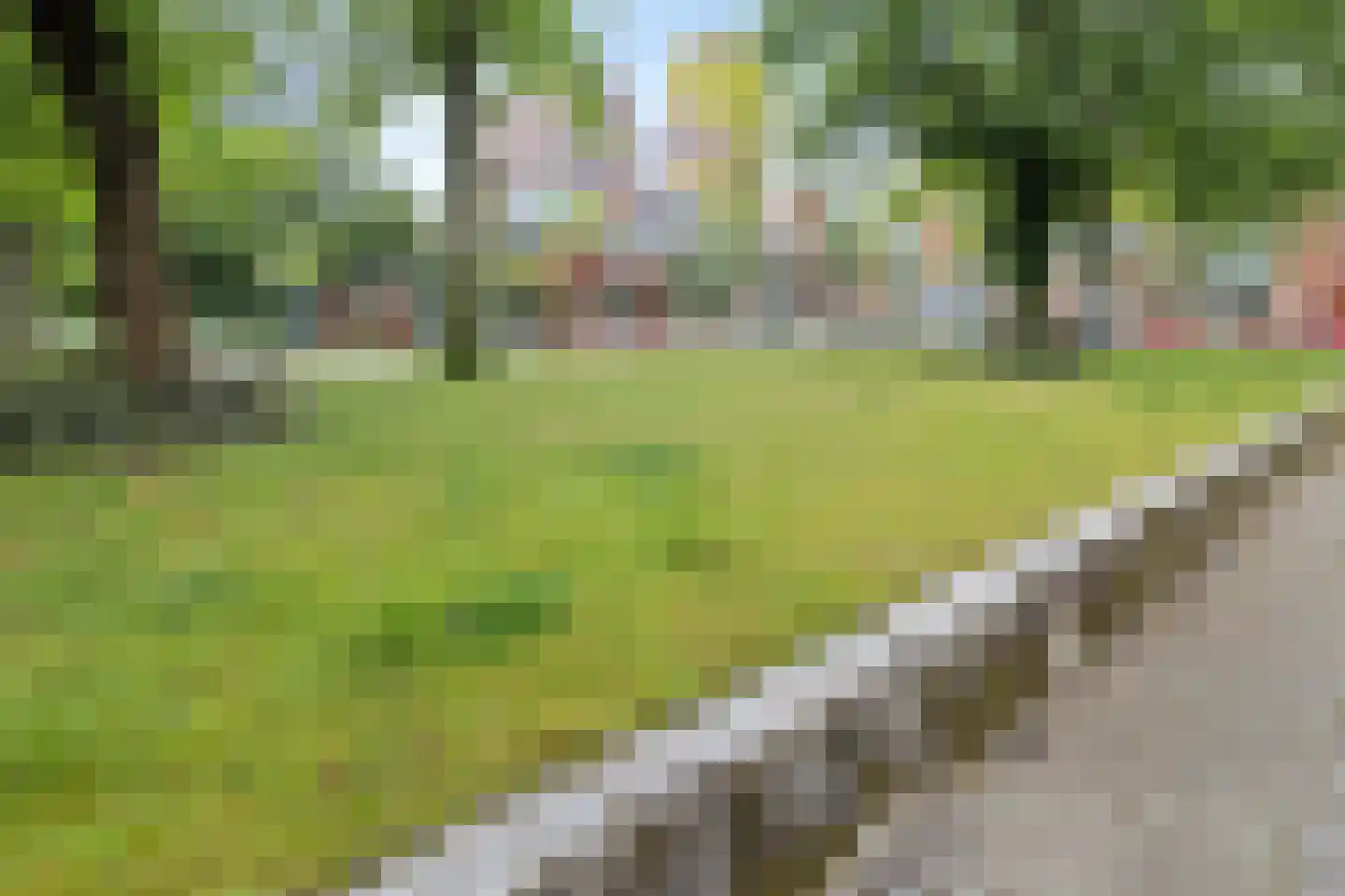 Libellenstraat 42 A Rotterdam thumbnail 29