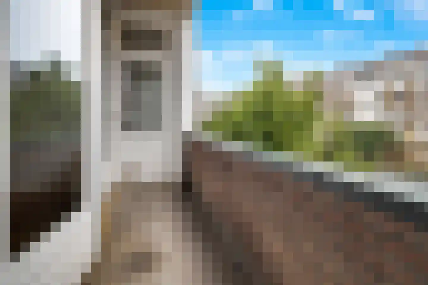 Libellenstraat 44 B Rotterdam thumbnail 17