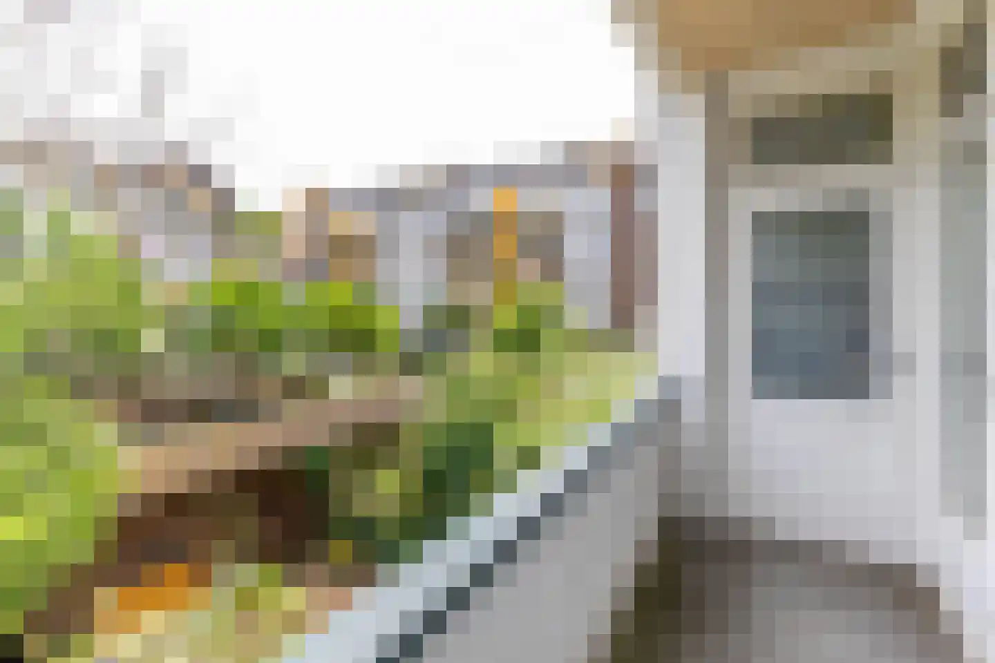 Libellenstraat 46 B 01 Rotterdam thumbnail 12