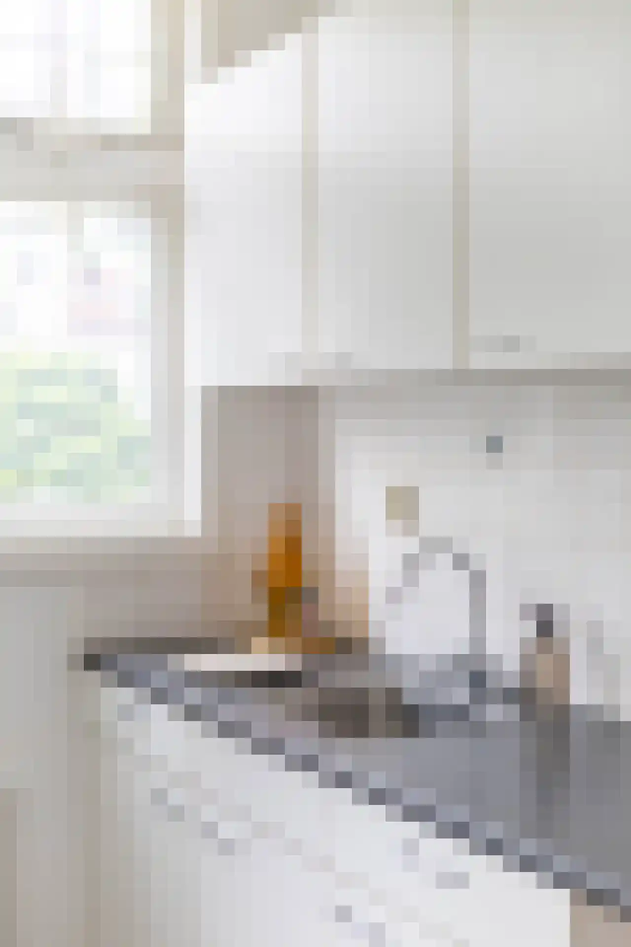 Libellenstraat 46 B 01 Rotterdam thumbnail 13