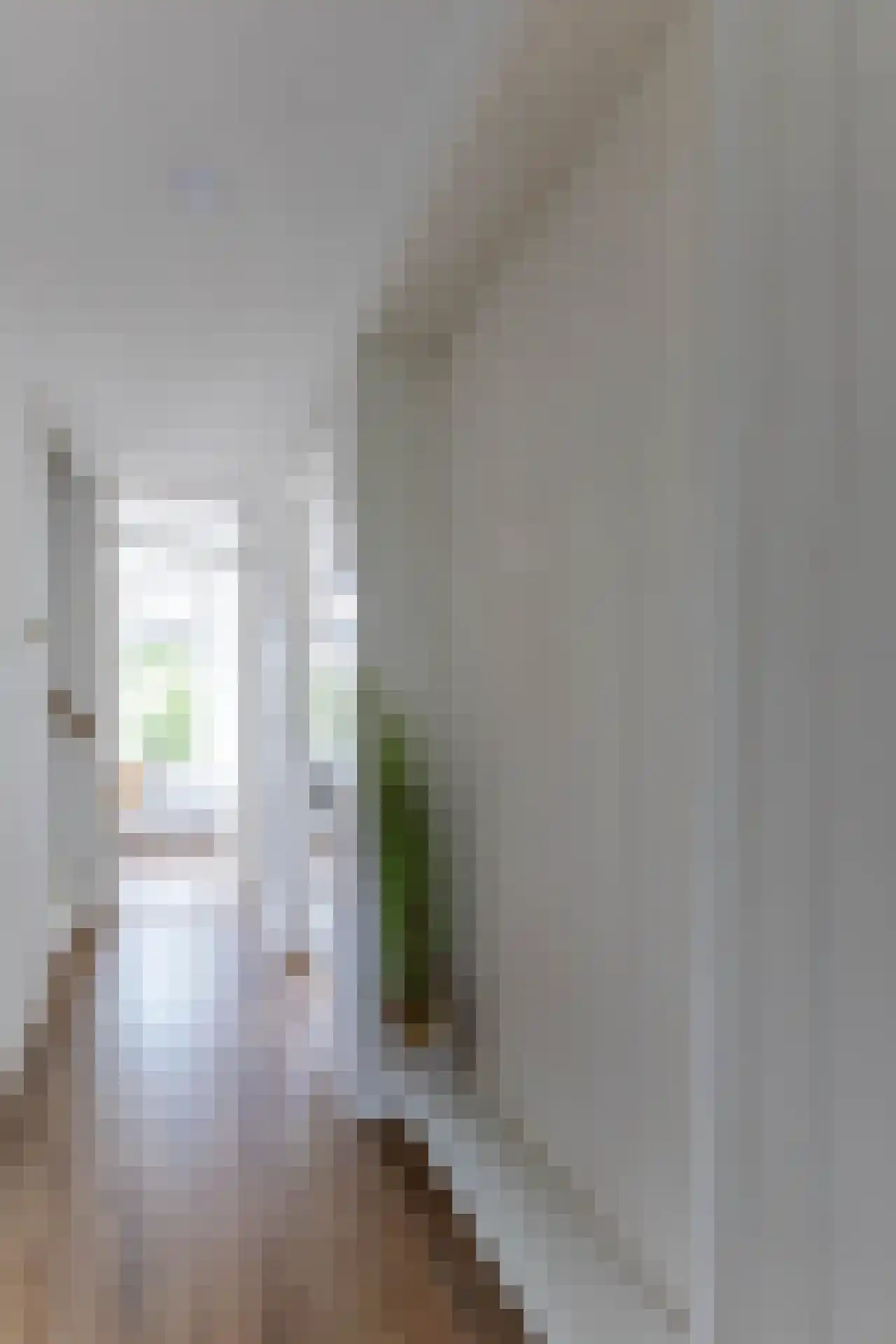 Libellenstraat 46 B 01 Rotterdam thumbnail 15