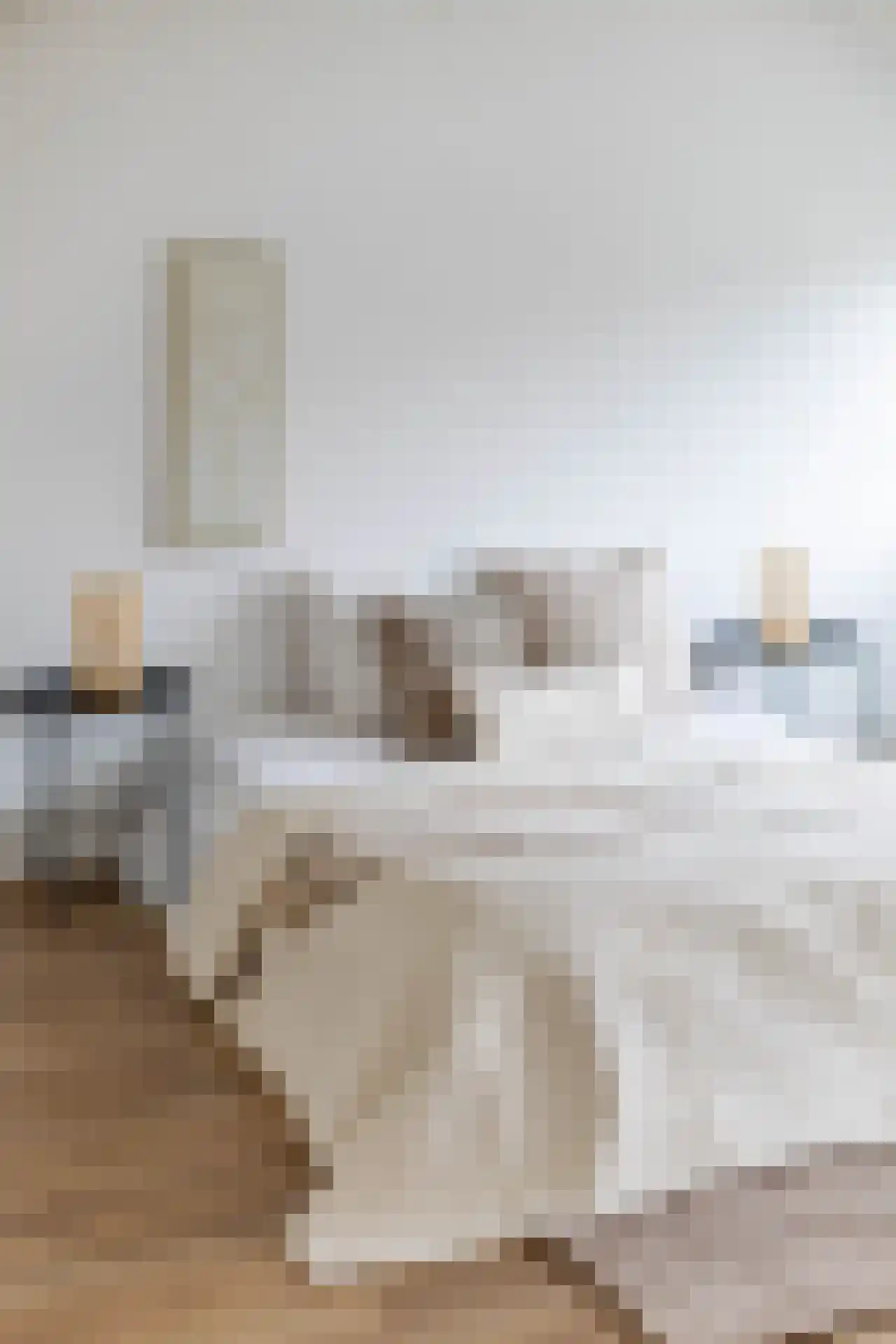 Libellenstraat 46 B 01 Rotterdam thumbnail 16