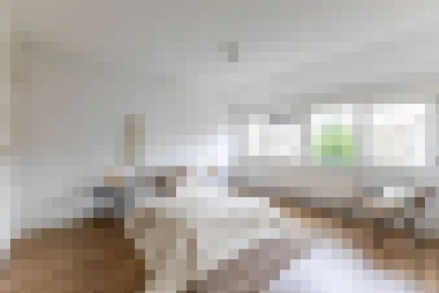Libellenstraat 46 B 01 Rotterdam thumbnail 4