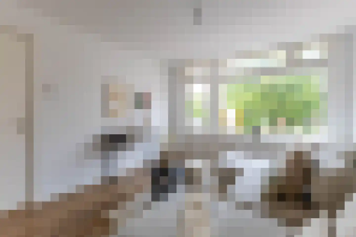 Libellenstraat 46 B 01 Rotterdam thumbnail 7