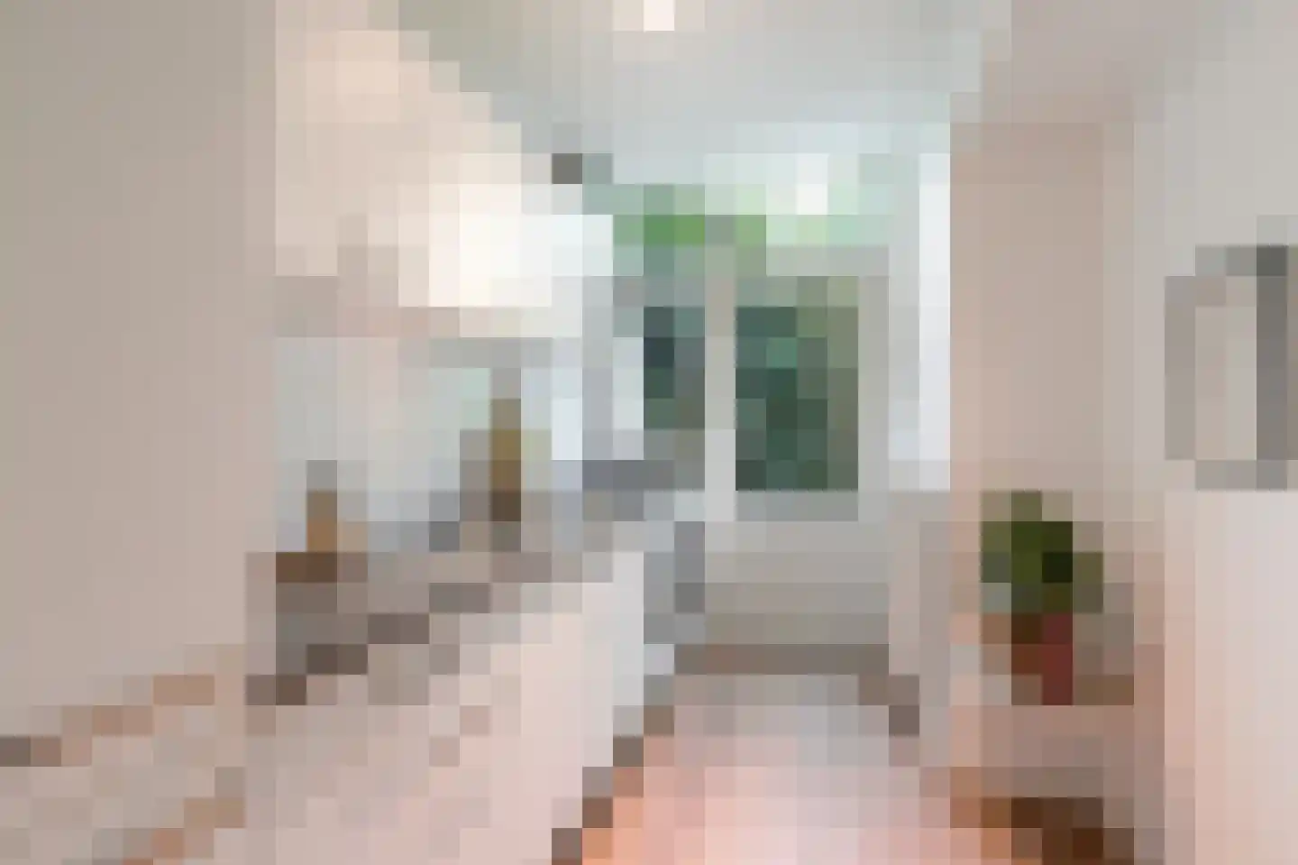 Libellenstraat 48 B Rotterdam thumbnail 20