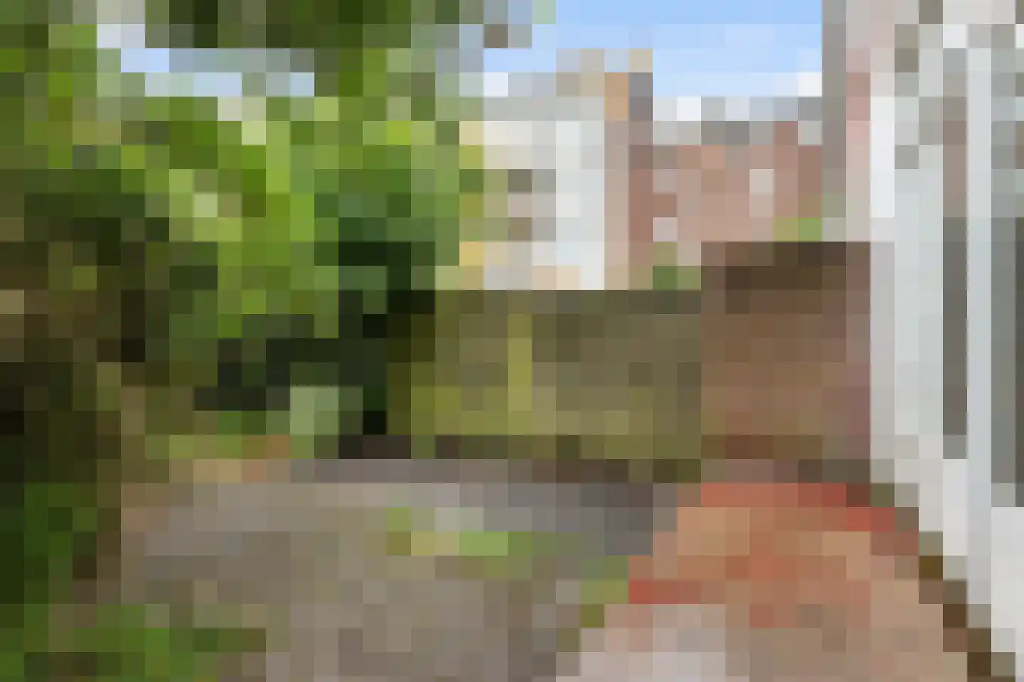 Libellenstraat 48 B Rotterdam thumbnail 28
