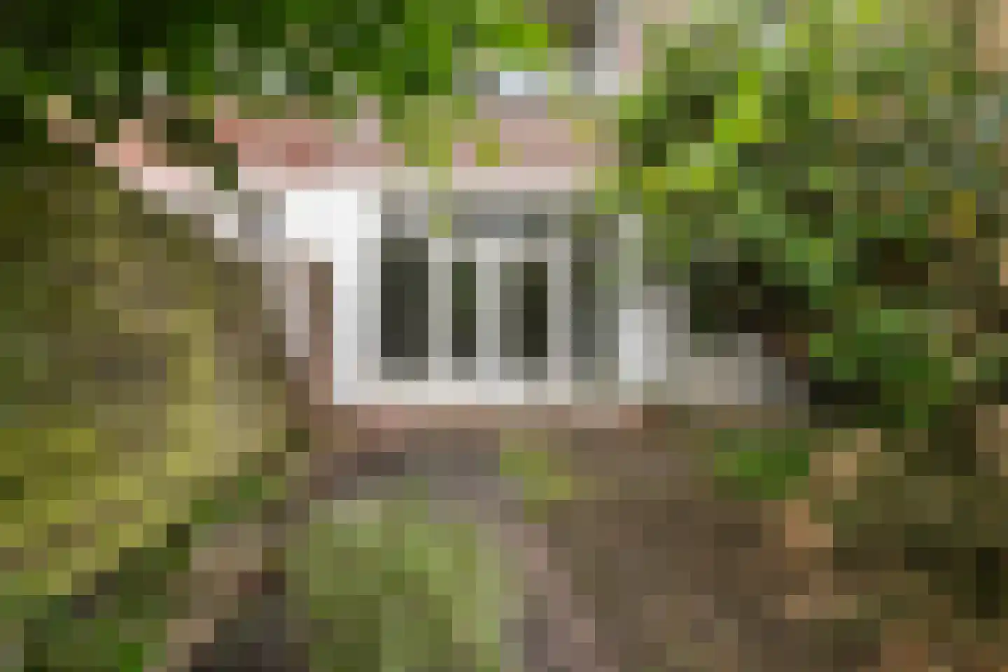 Libellenstraat 48 B Rotterdam thumbnail 31
