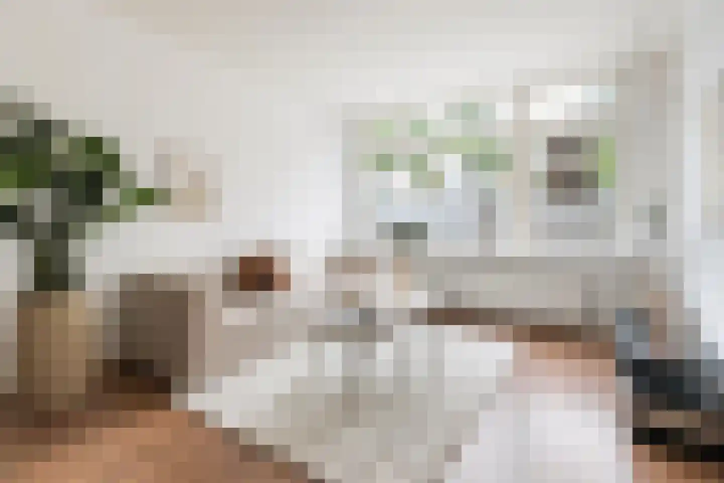 Libellenstraat 48 B Rotterdam thumbnail 7