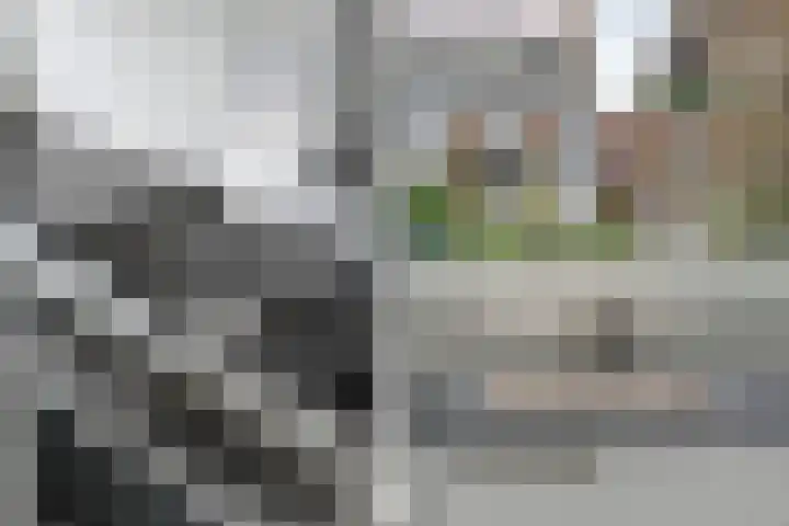 Libellenstraat 50 B 01 Rotterdam thumbnail 12