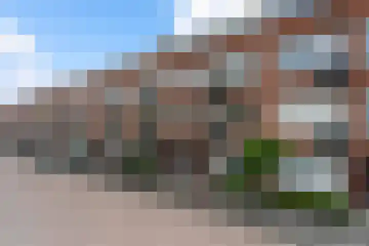 Libellenstraat 50 B 01 Rotterdam thumbnail 21