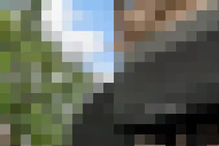Libellenstraat 50 B 01 Rotterdam thumbnail 23