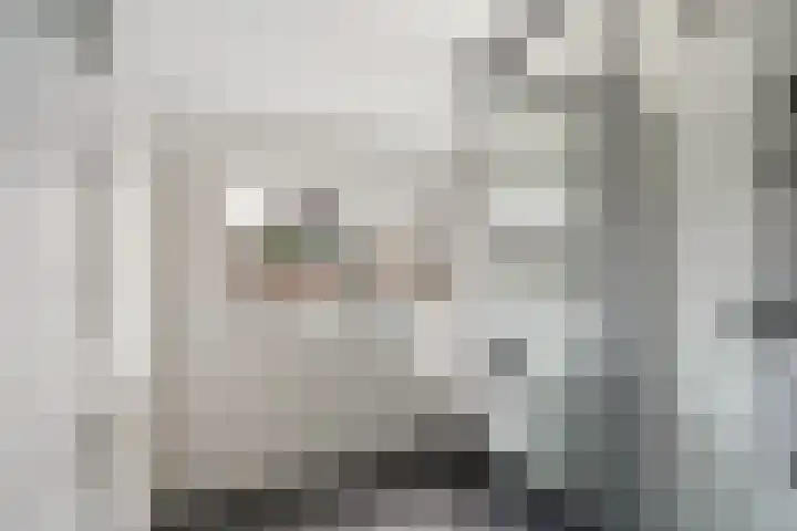 Libellenstraat 50 B 01 Rotterdam thumbnail 5