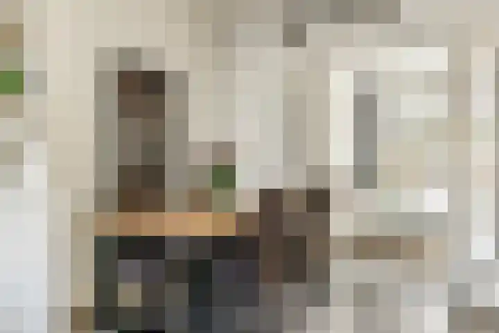 Libellenstraat 54 B 02 Rotterdam thumbnail 10