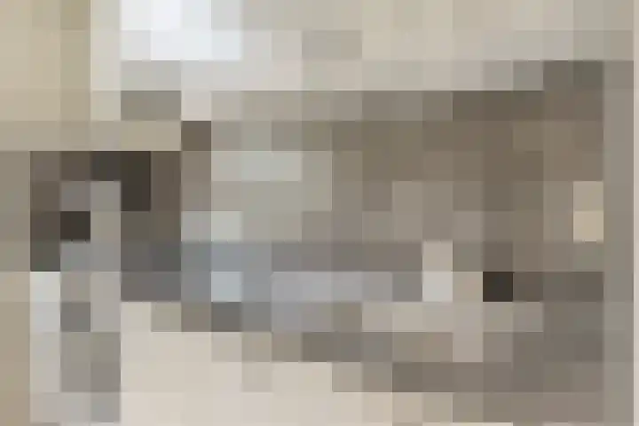 Libellenstraat 54 B 02 Rotterdam thumbnail 12