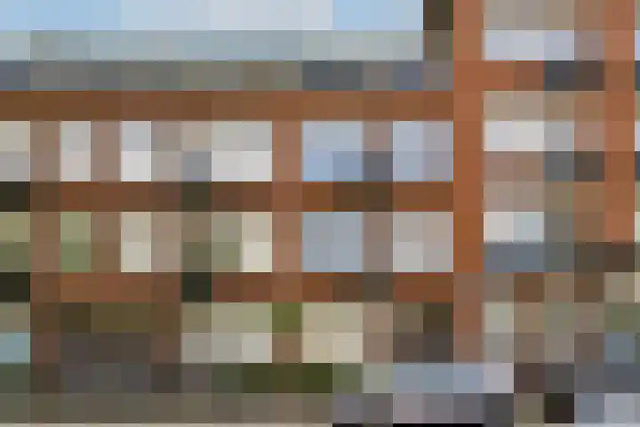 Libellenstraat 54 B 02 Rotterdam thumbnail 23
