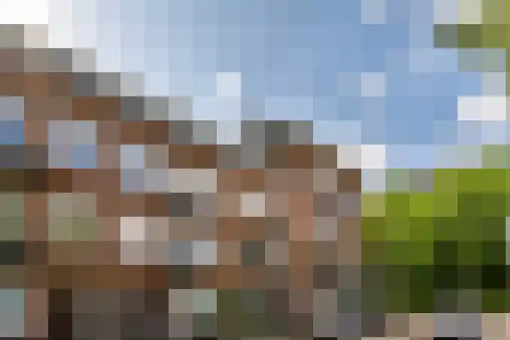 Libellenstraat 54 B 02 Rotterdam thumbnail 27