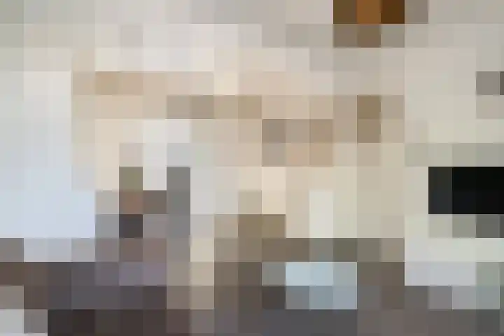Libellenstraat 54 B 02 Rotterdam thumbnail 5