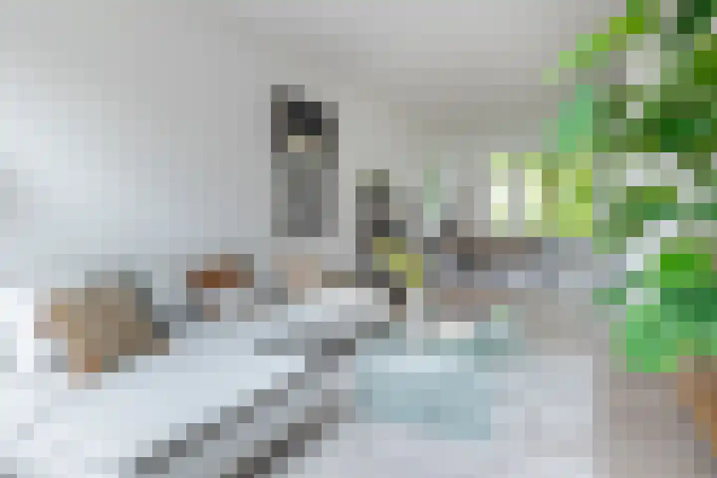 Libellenstraat 6 A Rotterdam thumbnail 10