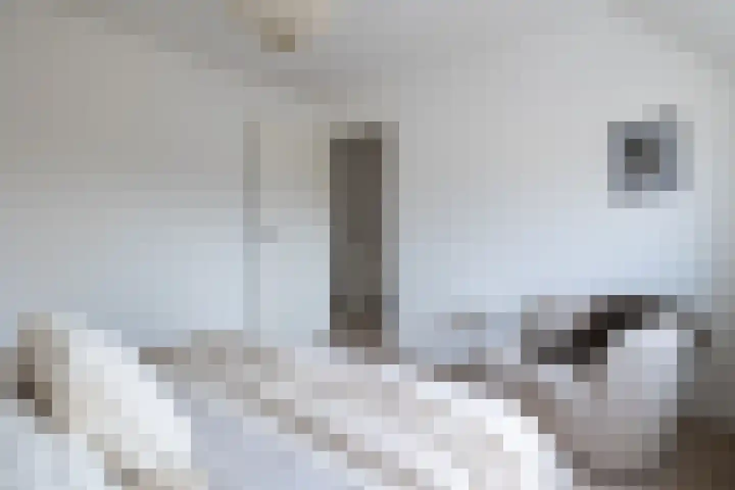 Libellenstraat 6 A Rotterdam thumbnail 40