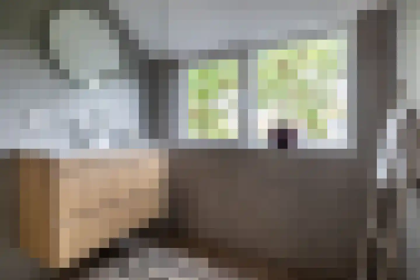Libellenstraat 6 B 01 Rotterdam thumbnail 37