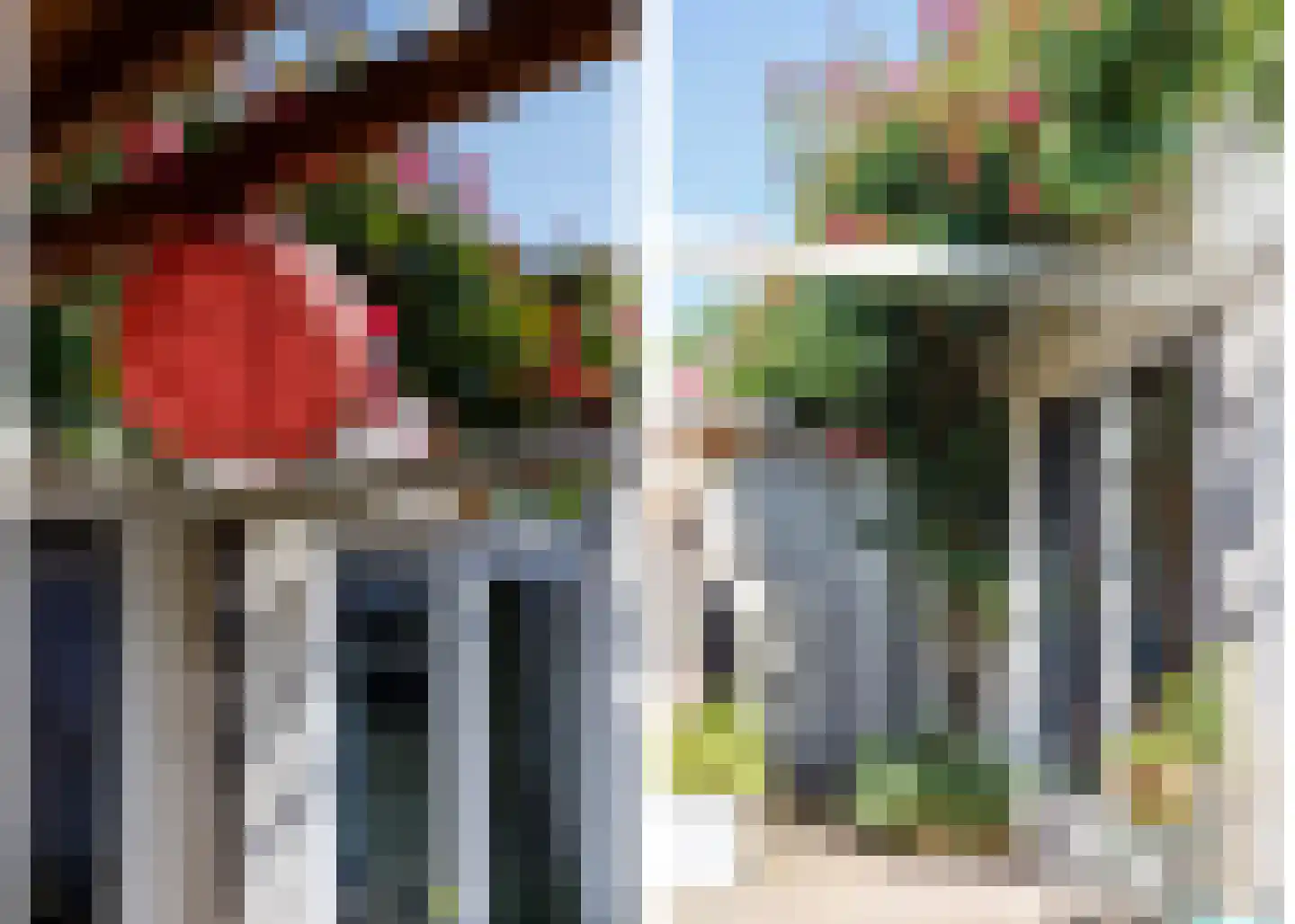Libellenveld 4 Leiden thumbnail 19