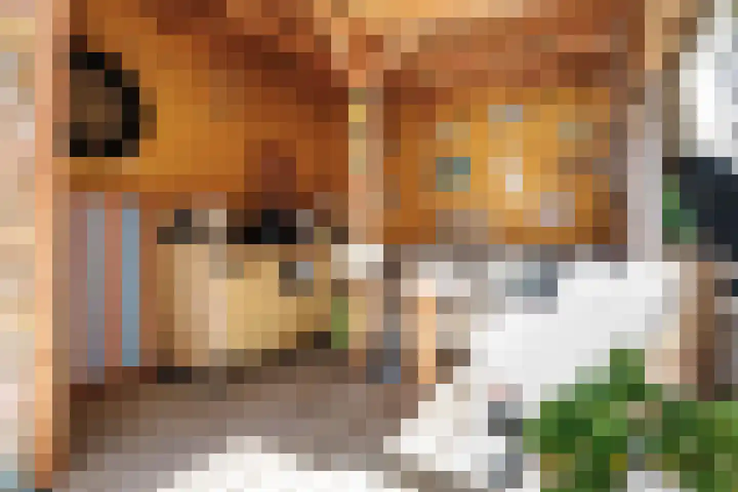 Libellenveld 4 Leiden thumbnail 23
