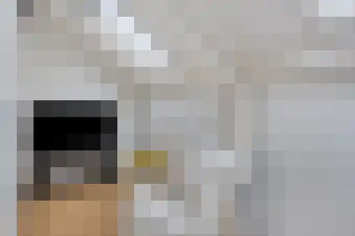 Libellestraat 17 Hengelo thumbnail 32