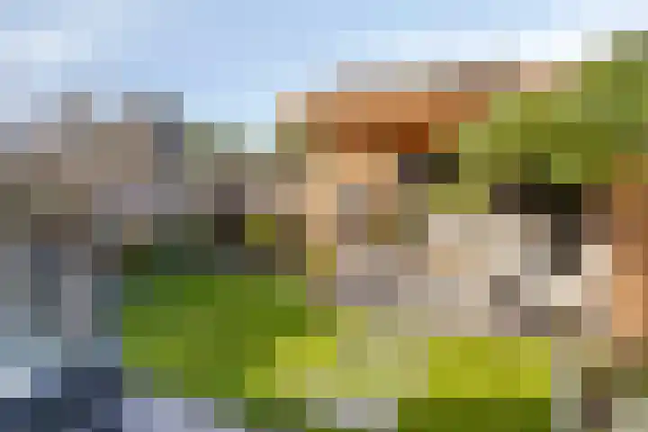Libellestraat 17 Hengelo thumbnail 34