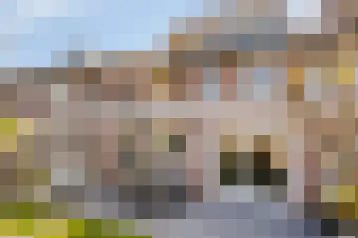 Libellestraat 17 Hengelo thumbnail 35