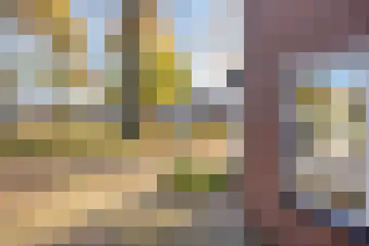 Libellestraat 17 Hengelo thumbnail 36