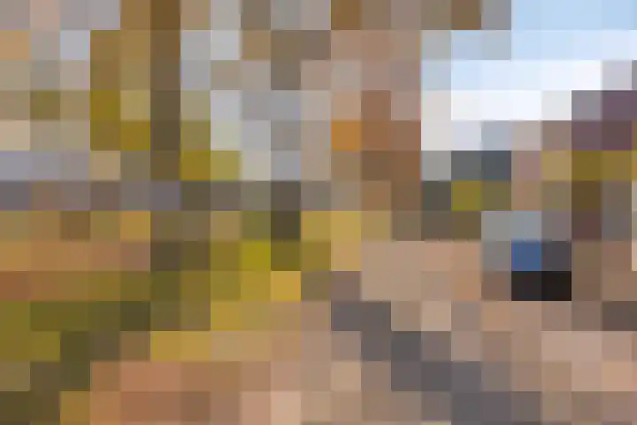 Libellestraat 17 Hengelo thumbnail 37