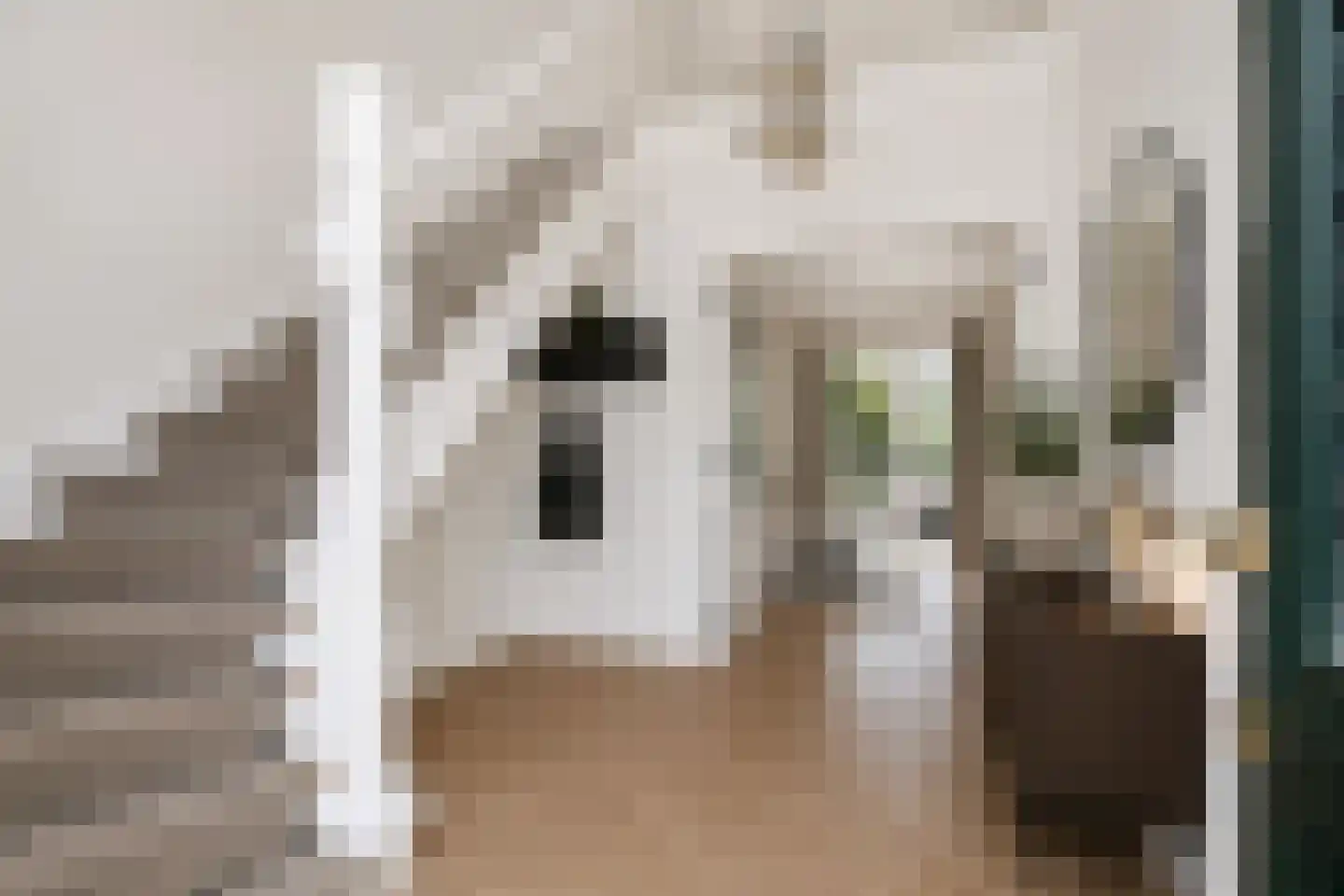 Libellestraat 2 Berkel en Rodenrijs thumbnail 10