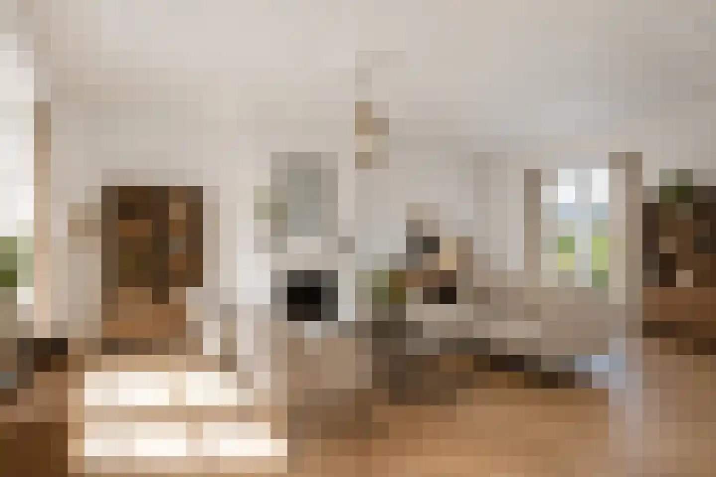 Libellestraat 2 Berkel en Rodenrijs thumbnail 15
