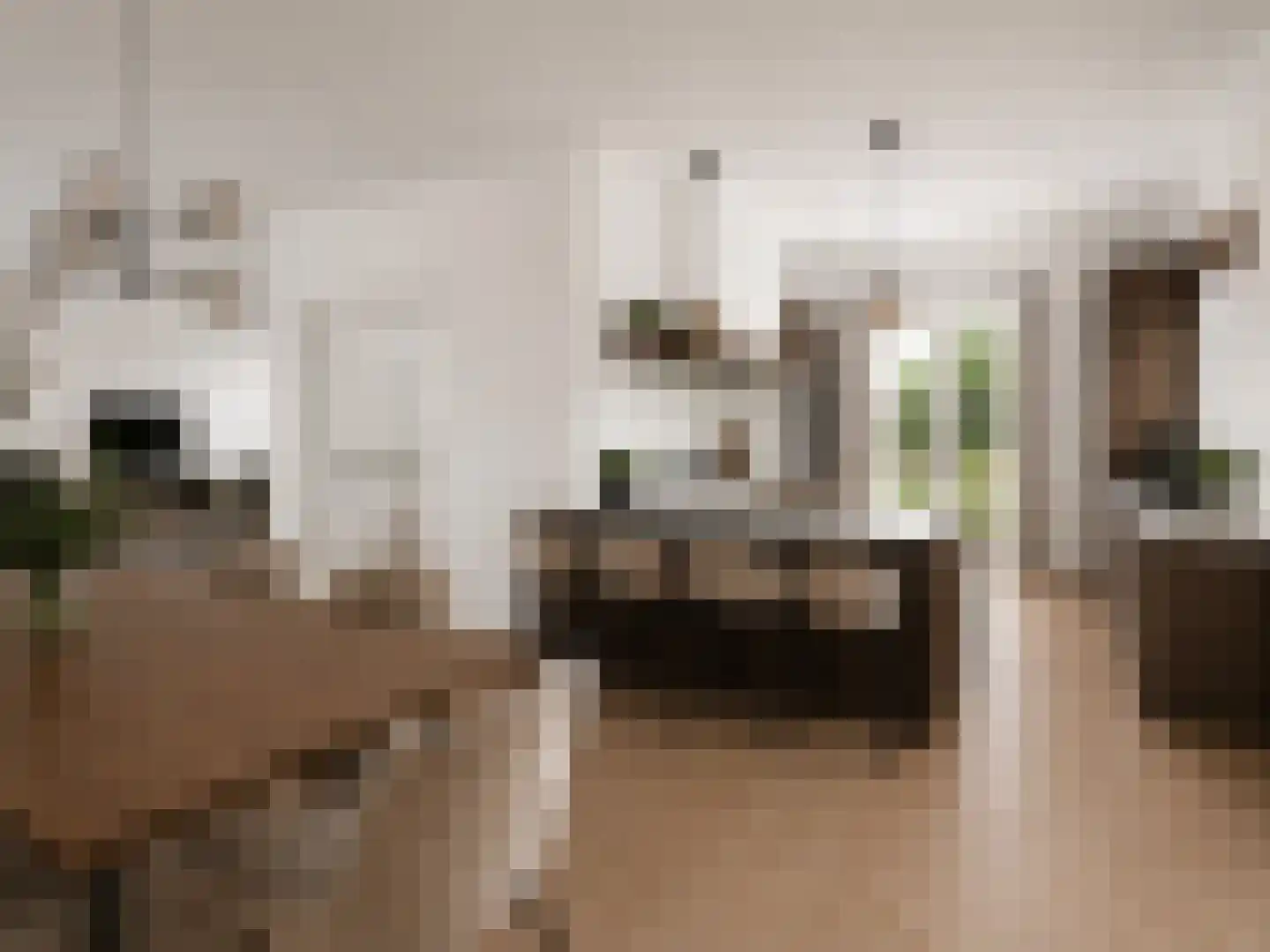 Libellestraat 2 Berkel en Rodenrijs thumbnail 19