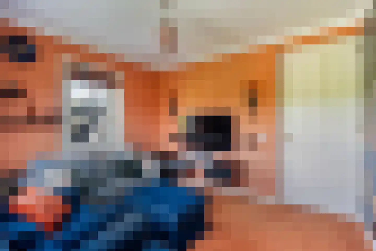 Libellestraat 2 Berkel en Rodenrijs thumbnail 32