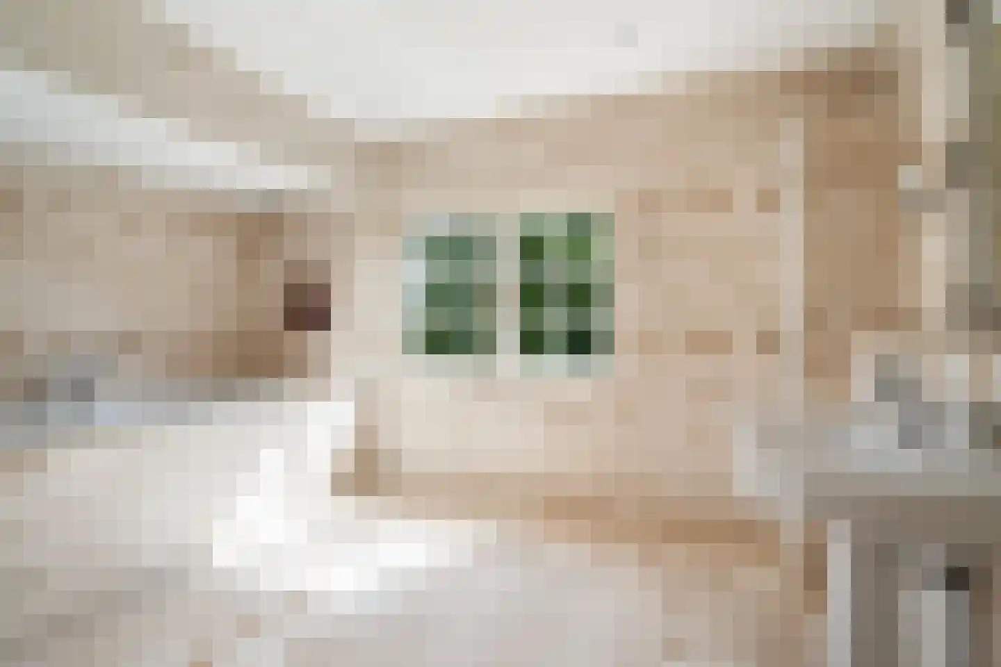 Libellestraat 2 Berkel en Rodenrijs thumbnail 33