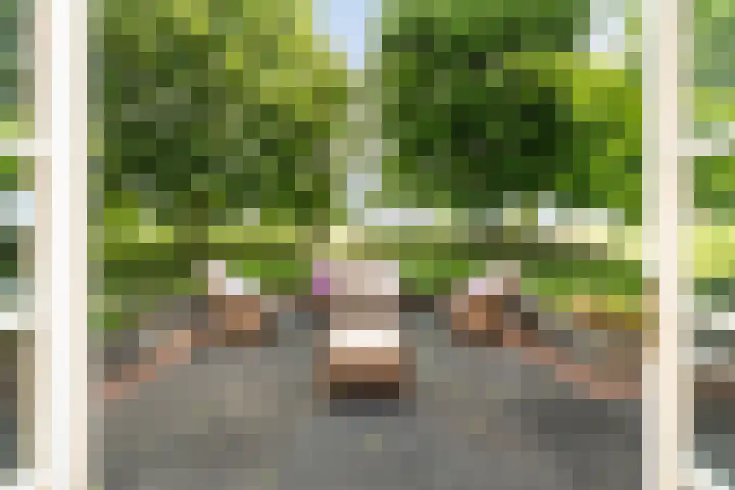 Libellestraat 2 Berkel en Rodenrijs thumbnail 4