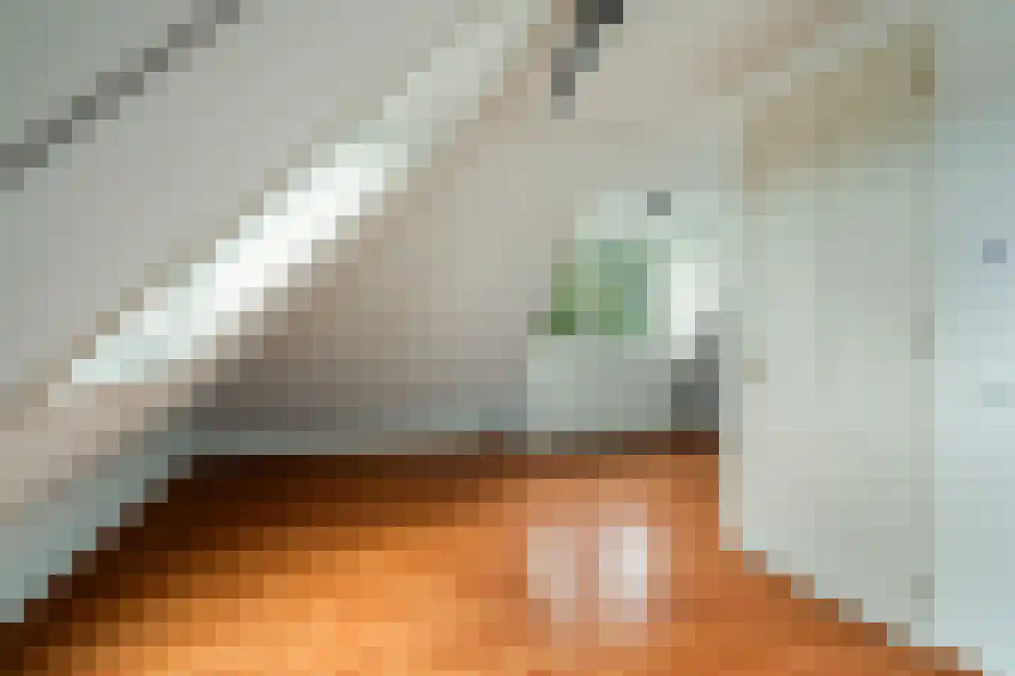 Libellestraat 2 Berkel en Rodenrijs thumbnail 41